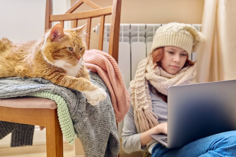 Young girl in knitted scarf hat is warming near heating radiator using laptop for leisure study with orange cat lying on chair.